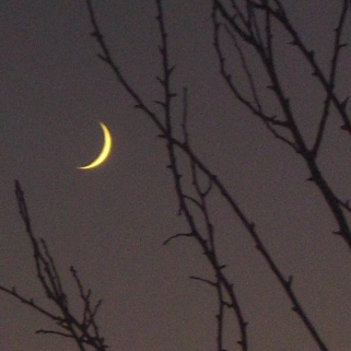 Cheshire Cat Smiling Moon - photo by G. Almeida